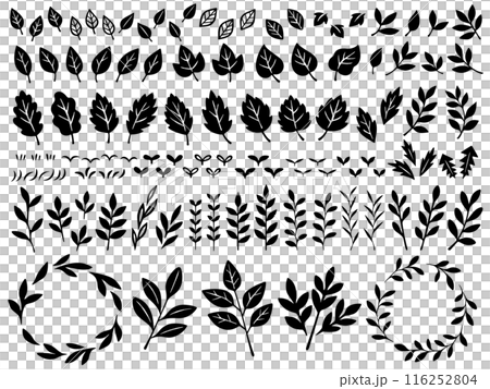 植物の手描き風シルエットイラストセット 植物の手描き風シルエットイラストセット 116252804