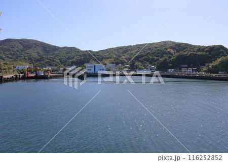 佐賀関港フェリーターミナル（入港） 116252852