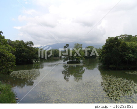 大沼国定公園 116252853