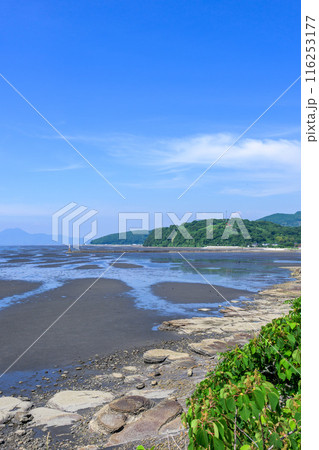 うららかな青空に映える有明海・干潟風景　宇土マリーナ芝生公園から観える風景「宇土マリーナおこしき館」 116253177