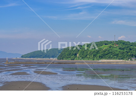 うららかな青空に映える有明海・干潟風景　宇土マリーナ芝生公園から観える風景「宇土マリーナおこしき館」 116253178