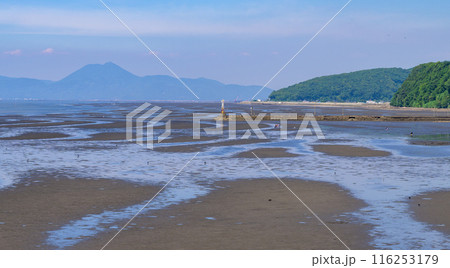 うららかな青空に映える有明海・干潟風景　宇土マリーナ芝生公園から観える風景「宇土マリーナおこしき館」 116253179