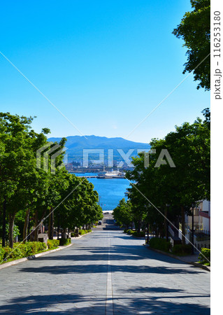 函館　八幡坂 116253180