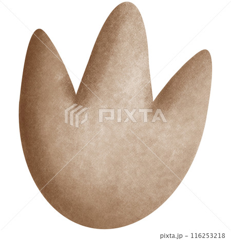 Dinosaur collection	 116253218