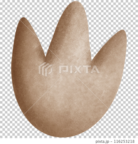 Dinosaur collection	 116253218