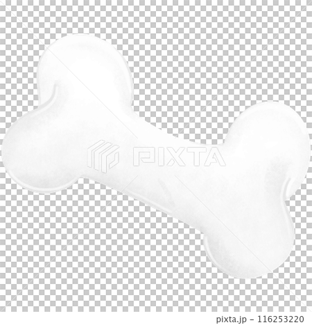 dinosaur, egg, bone 116253220