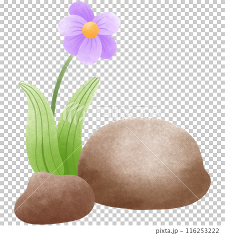 dinosaur, egg, volcano 116253222