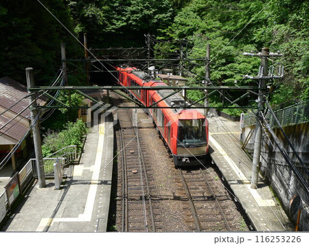 日本の鉄道　（箱根登山鉄道）　Rail transport in Japan 116253226