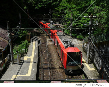 日本の鉄道　（箱根登山鉄道）　Rail transport in Japan 116253228