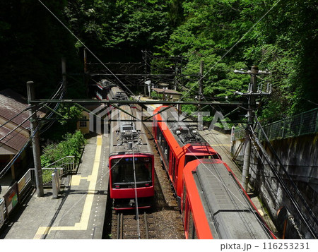 日本の鉄道　（箱根登山鉄道）　Rail transport in Japan 116253231