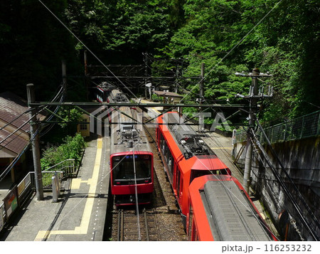日本の鉄道　（箱根登山鉄道）　Rail transport in Japan 116253232