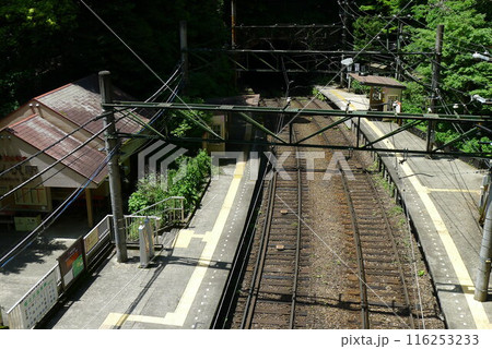 日本の鉄道　（箱根登山鉄道）　Rail transport in Japan 116253233