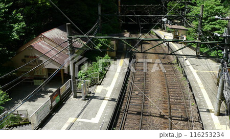 日本の鉄道　（箱根登山鉄道）　Rail transport in Japan 116253234