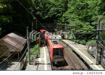 日本の鉄道　（箱根登山鉄道）　Rail transport in Japan 116253238