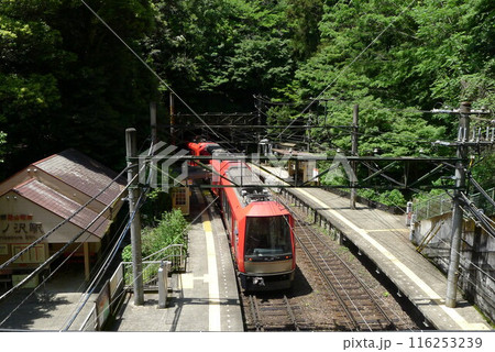 日本の鉄道　（箱根登山鉄道）　Rail transport in Japan 116253239