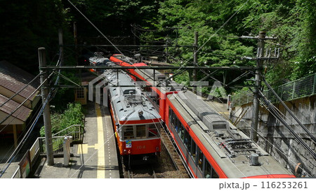 日本の鉄道　（箱根登山鉄道）　Rail transport in Japan 116253261