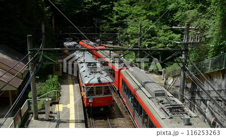 日本の鉄道　（箱根登山鉄道）　Rail transport in Japan 116253263