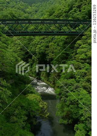 日本の鉄道　（箱根登山鉄道）　Rail transport in Japan 116253269