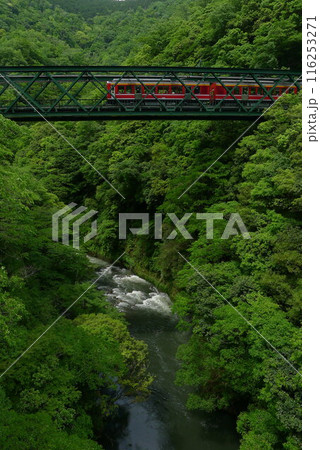日本の鉄道　（箱根登山鉄道）　Rail transport in Japan 116253271