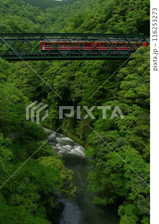 日本の鉄道　（箱根登山鉄道）　Rail transport in Japan 116253273