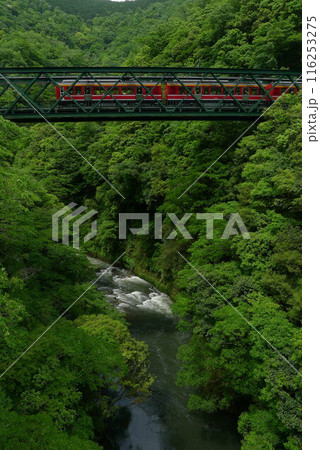 日本の鉄道　（箱根登山鉄道）　Rail transport in Japan 116253275