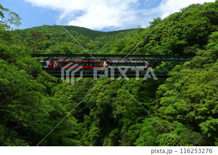 日本の鉄道　（箱根登山鉄道）　Rail transport in Japan 116253276