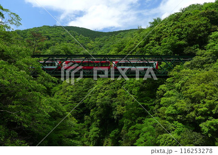 日本の鉄道　（箱根登山鉄道）　Rail transport in Japan 116253278