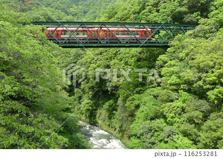 日本の鉄道　（箱根登山鉄道）　Rail transport in Japan 116253281