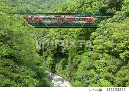 日本の鉄道　（箱根登山鉄道）　Rail transport in Japan 116253282