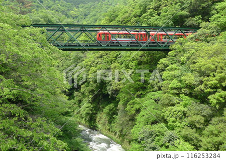 日本の鉄道　（箱根登山鉄道）　Rail transport in Japan 116253284