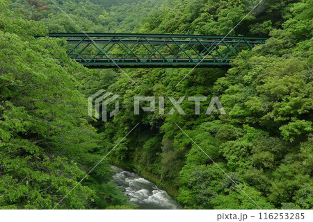 日本の鉄道　（箱根登山鉄道）　Rail transport in Japan 116253285