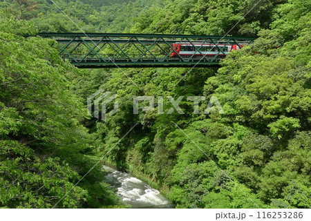 日本の鉄道　（箱根登山鉄道）　Rail transport in Japan 116253286