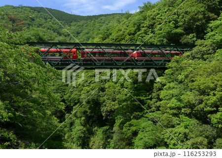 日本の鉄道 (箱根登山鉄道) Rail transport in Japan 日本の鉄道 (箱根登山鉄道) Rail transport in Japan 116253293
