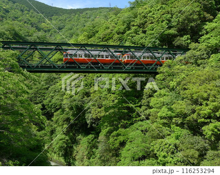 日本の鉄道 (箱根登山鉄道) Rail transport in Japan 日本の鉄道 (箱根登山鉄道) Rail transport in Japan 116253294