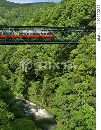 日本の鉄道　（箱根登山鉄道）　Rail transport in Japan 116253295