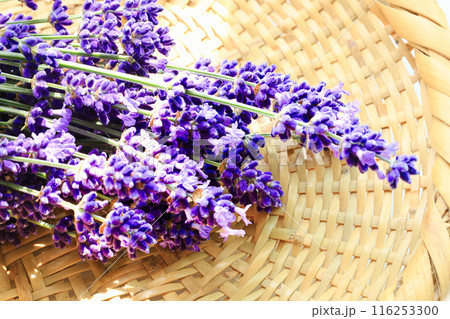 ラベンダーの花束 ラベンダーの花束 116253300