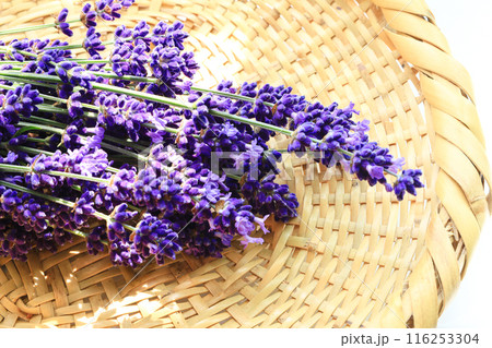 ラベンダーの花束 ラベンダーの花束 116253304