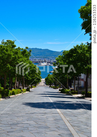 函館　八幡坂 116253333