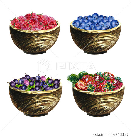 Set with berries in wooden cups, strawberries, raspberries, blueberries, currants. Hand-drawn watercolor illustrations. Isolates. For packages, labels and flyers. For banners, stickers and postcards. 116253337