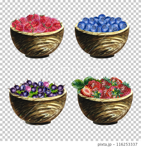 Set with berries in wooden cups, strawberries, raspberries, blueberries, currants. Hand-drawn watercolor illustrations. Isolates. For packages, labels and flyers. For banners, stickers and postcards. 116253337