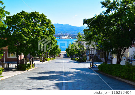 函館　八幡坂 116253404