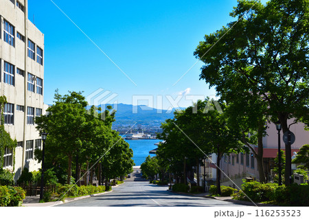 函館　八幡坂 116253523