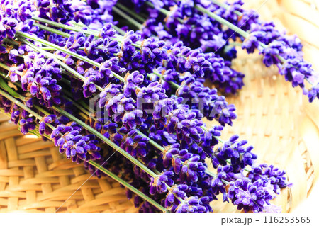ラベンダーの花束 116253565
