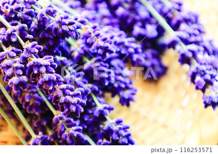 ラベンダーの花束 116253571