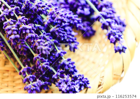 ラベンダーの花束 116253574