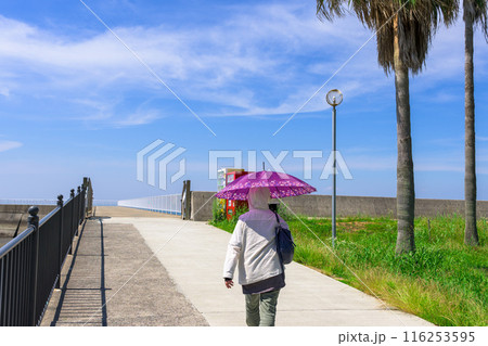 うららかな青空に映える道の駅海岸風景　(宇土市下網田町)「宇土マリーナおこしき館」 116253595