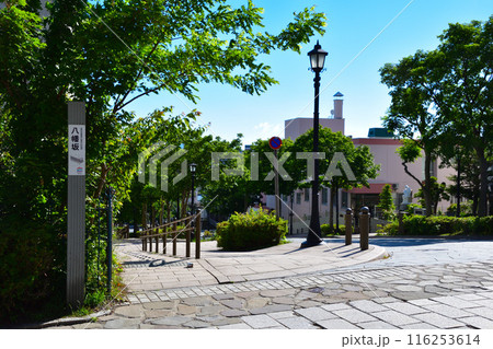 函館　八幡坂 116253614