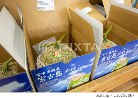 沖縄土産にも大人気!宮古島特産宮古島メロン 沖縄土産にも大人気!宮古島特産宮古島メロン 116253867