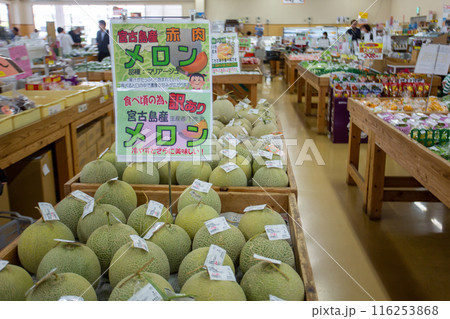 沖縄土産にも大人気!宮古島特産宮古島メロン 沖縄土産にも大人気!宮古島特産宮古島メロン 116253868