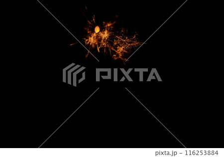 線香花火 116253884